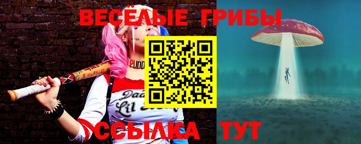 Псилоцибиновые грибы Cubensis  Псилоцибиновые грибы GOLDEN TEACHER  Вход с VPN  Надым 