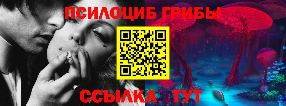 Галлюциногенные грибы MAGIC MUSHROOMS Надым
